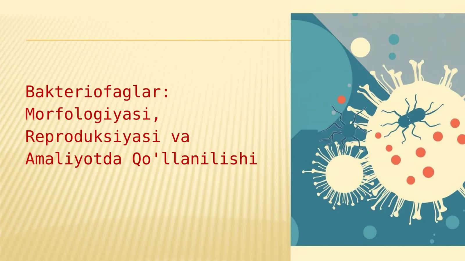 Bakteriofaglar: Morfologiyasi, Reproduksiyasi va Amaliyotda Qo'llanilishi