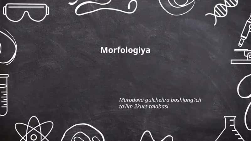 Morfologiya