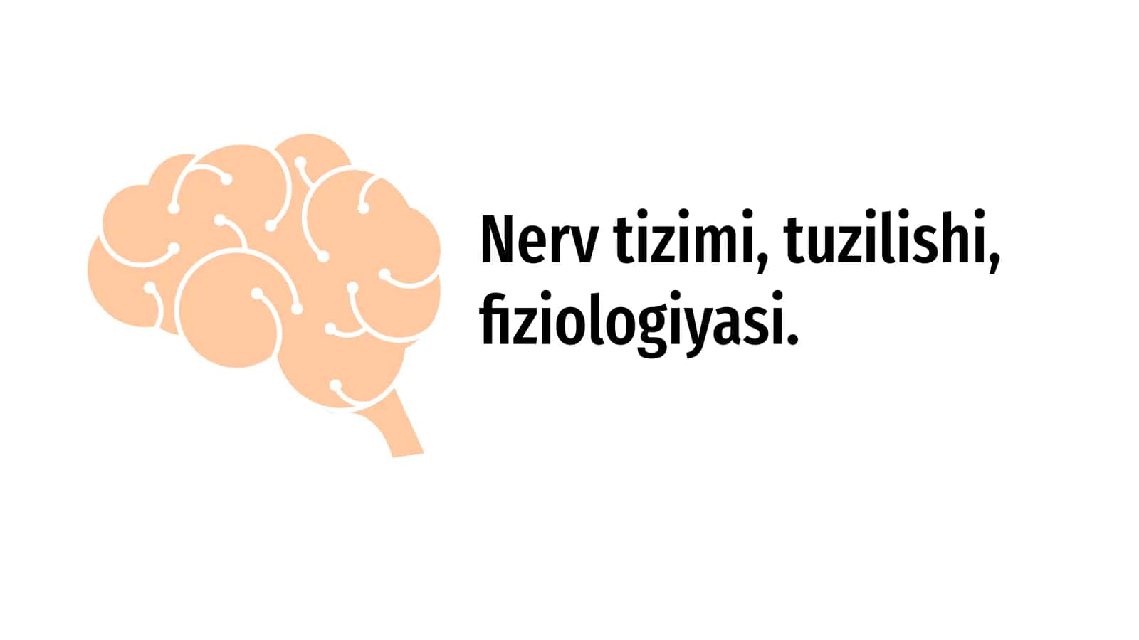 Nerv tizimi, tuzilishi, fiziologiyasi