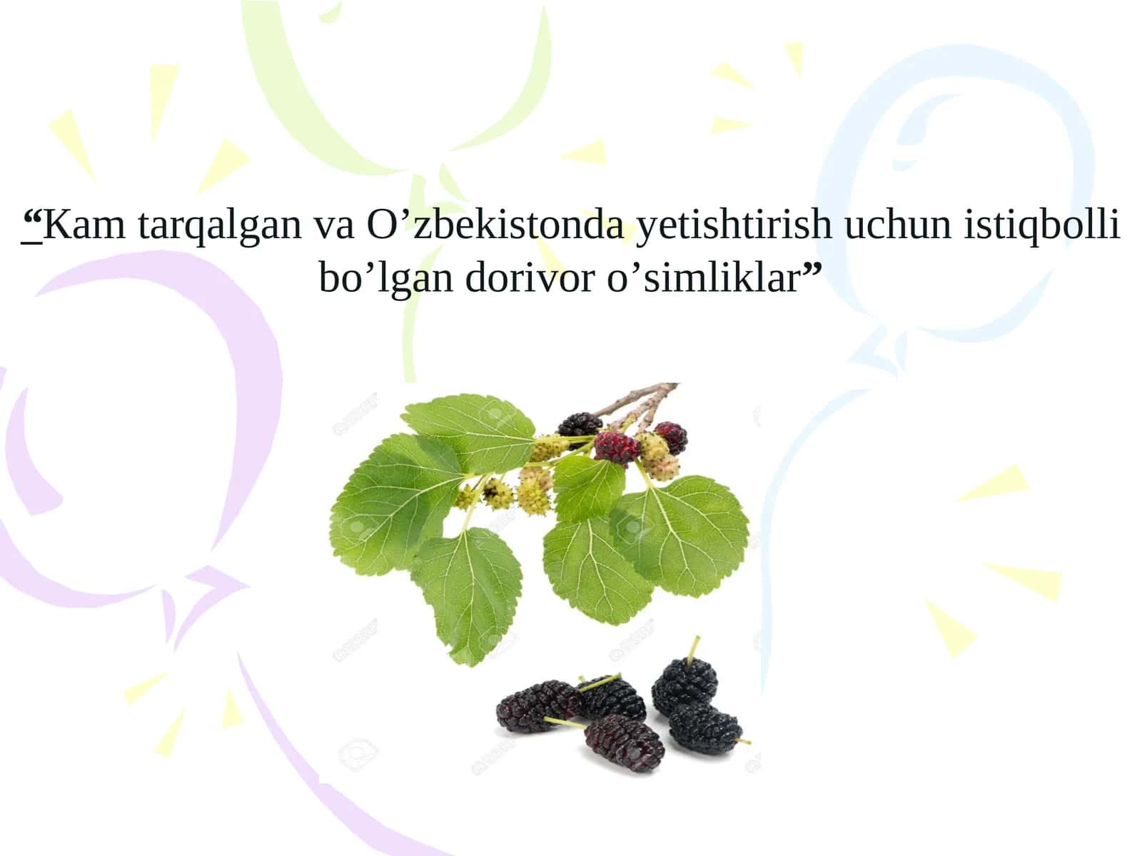 Yovvoyi o'simliklar
