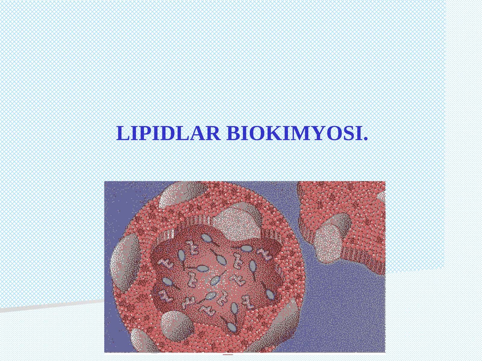 LIPIDLАR BIOKIMYOSI
