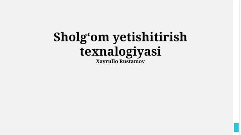 Sholgʻom yetishitirish texnalogiyasi