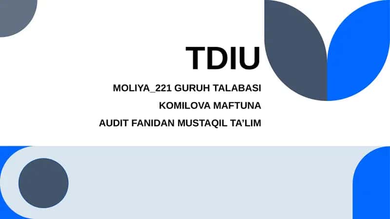 Auditorlik tekshruvi ishchi dasturi