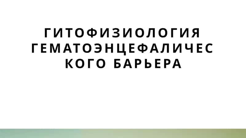 гитофизиология гематоэнцефалического барьера