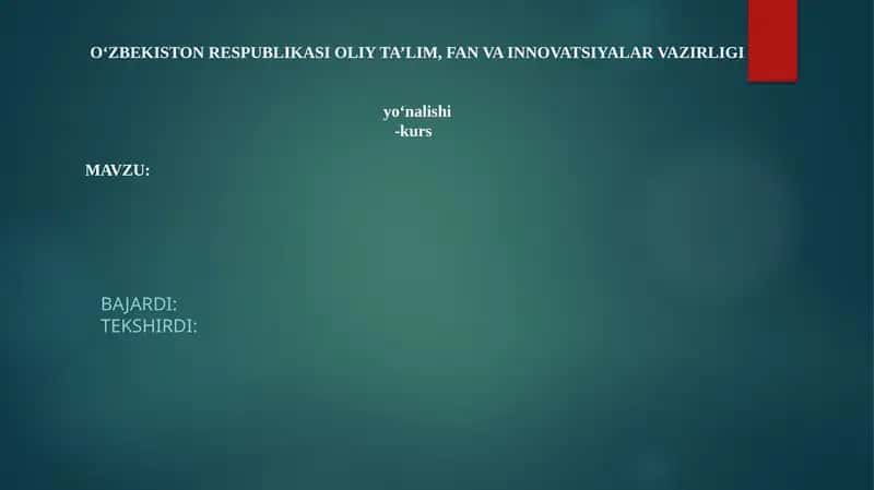 Mustaqil ish