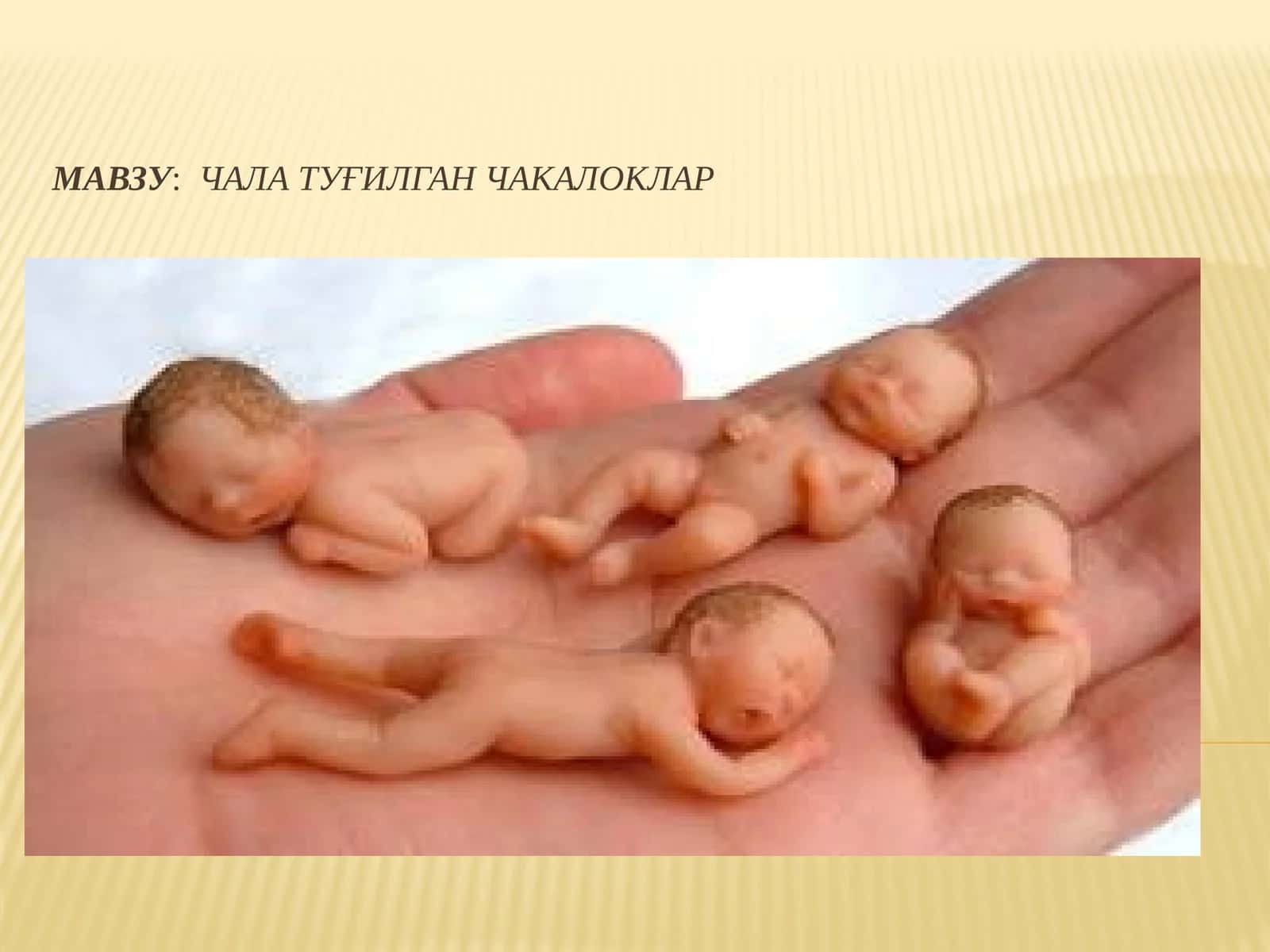 Чалатуғилганчакалоклар