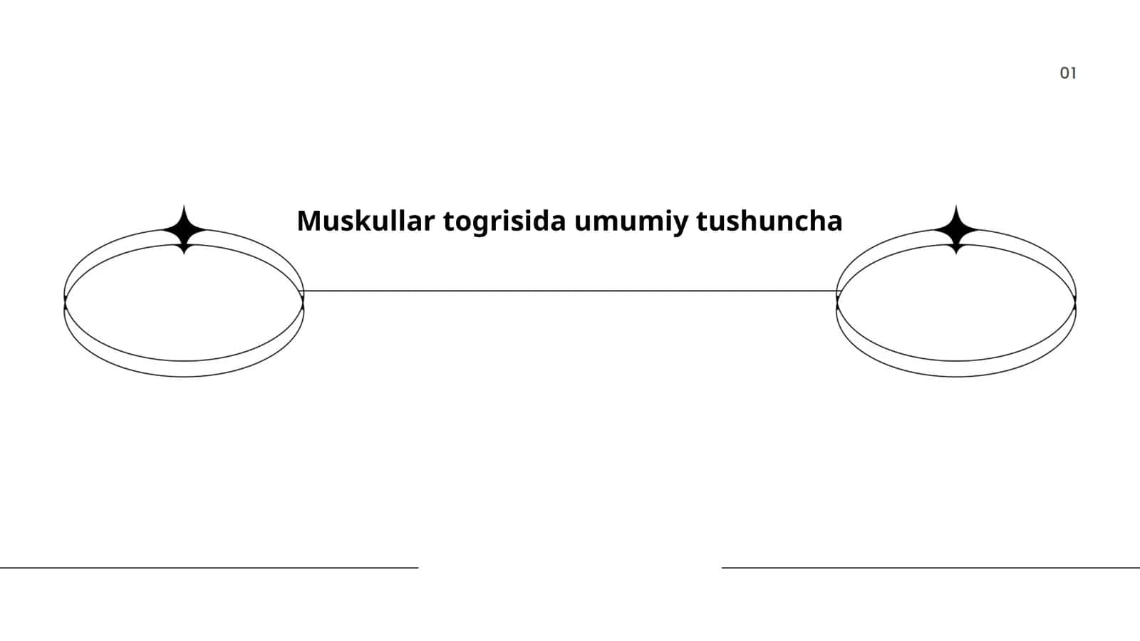 Muskullar togrisida umumiy tushuncha