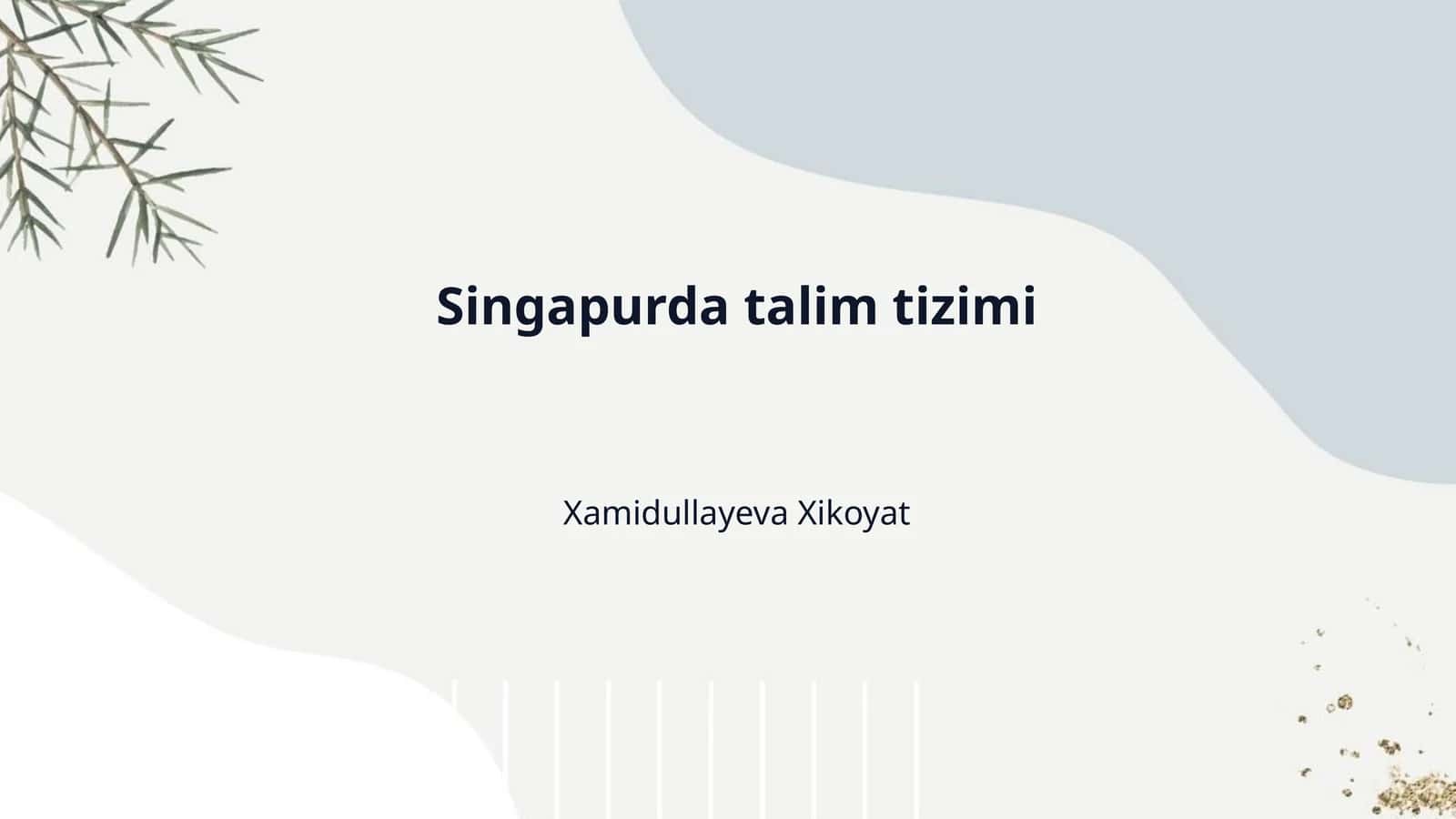 Singapurda talim tizimi