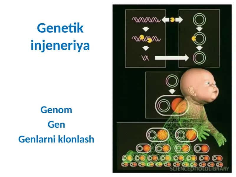 Genetik injeneriya