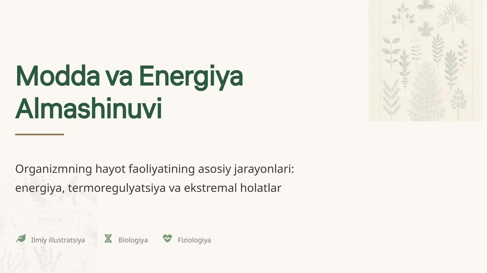 Modda va Energiya