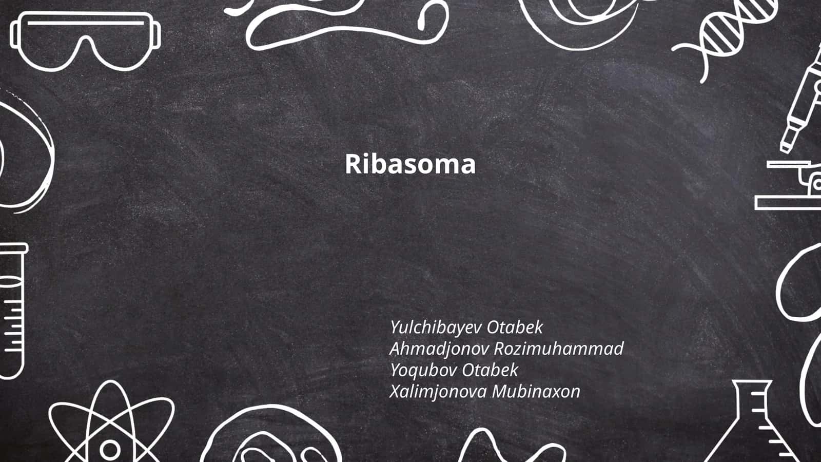 Ribosoma