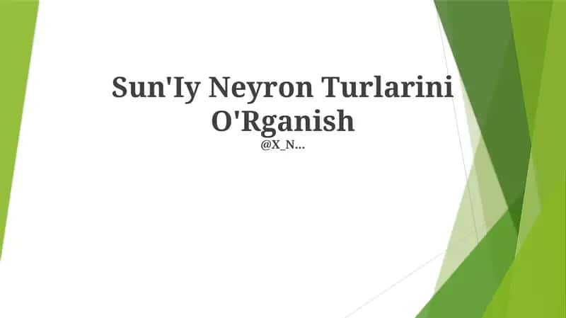 Sun'Iy Neyron Turlarini O'Rganish