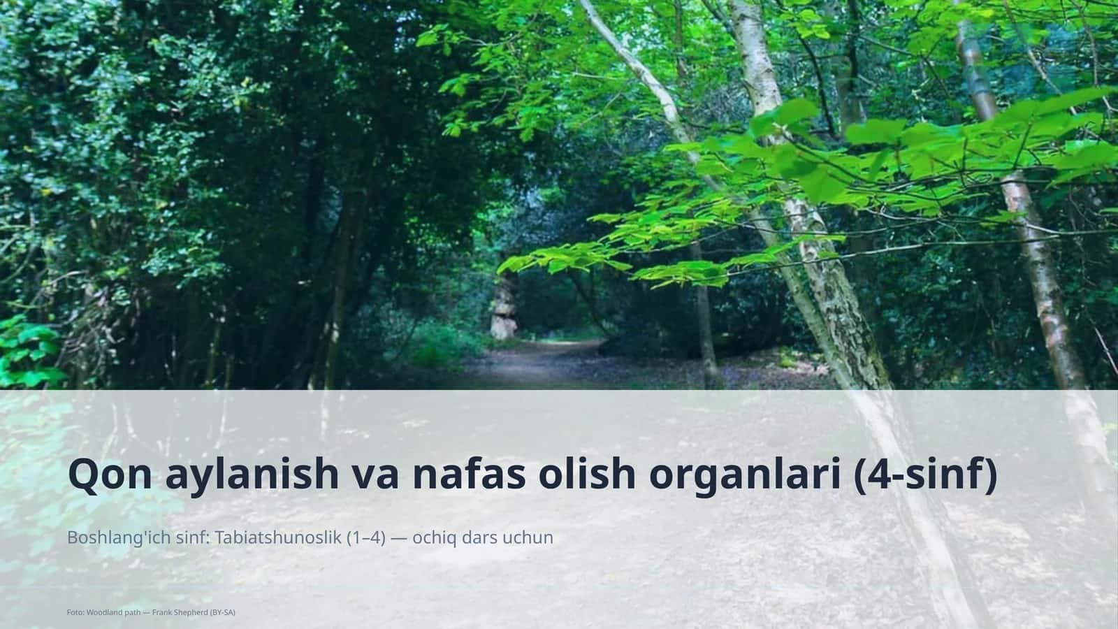Qon aylanish va nafas olish organlari (4-sinf)