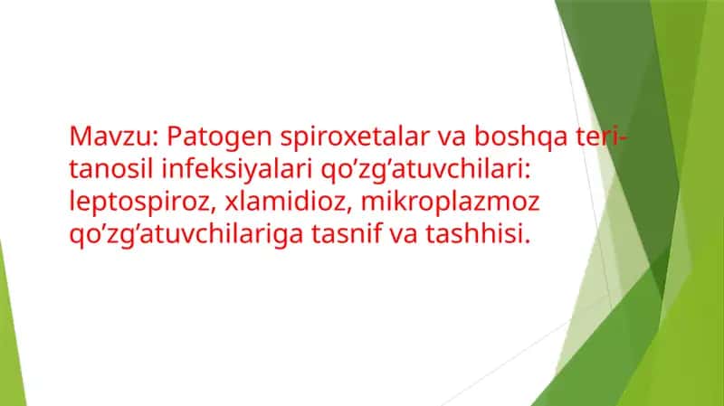 Patogen spiroxetalar va boshqa teri-tanosil infeksiyalari qo’zg’atuvchilari: zaxm, qaytalama tif.