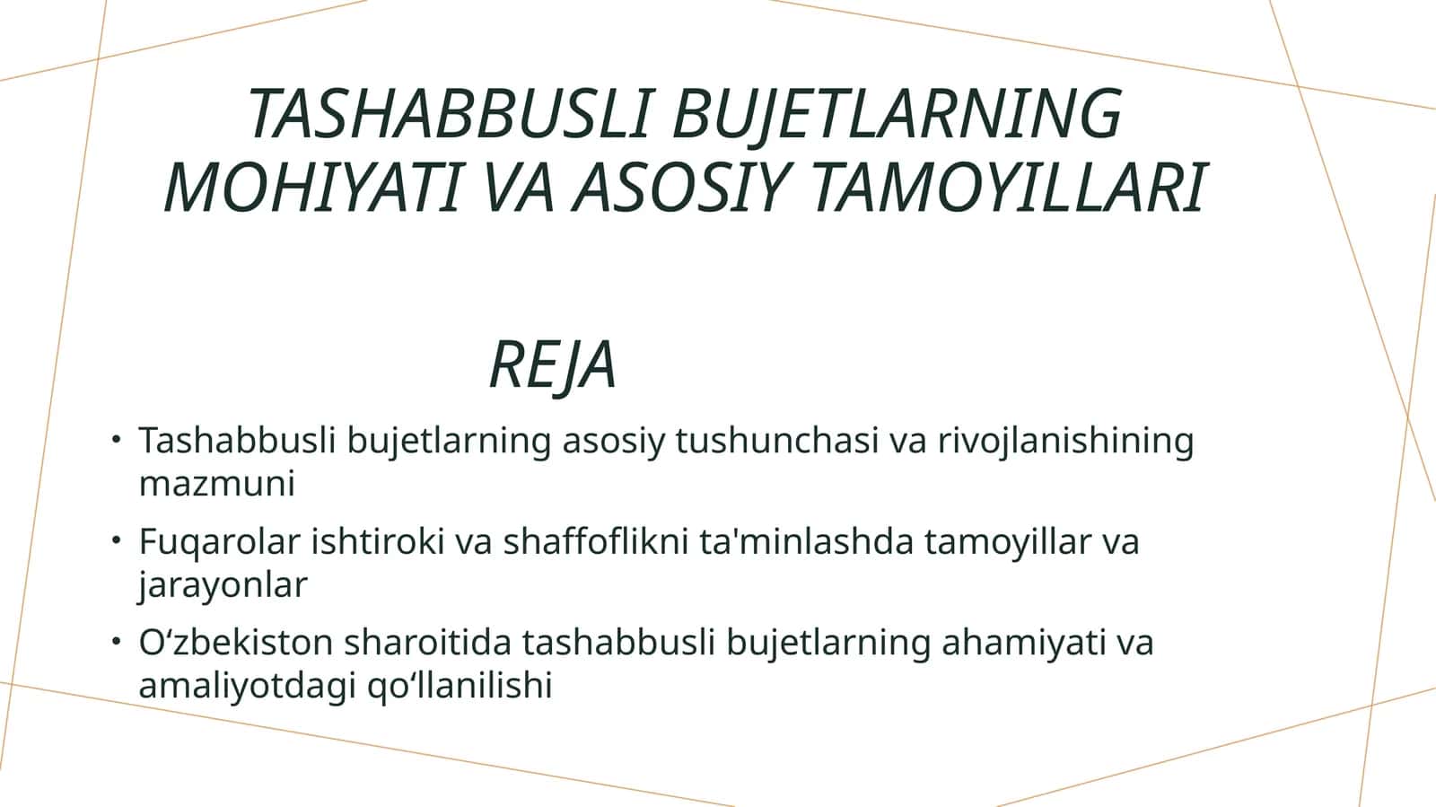 Tashabbusli bujetlarning asosiy tushunchasi va rivojlanishining mazmuni