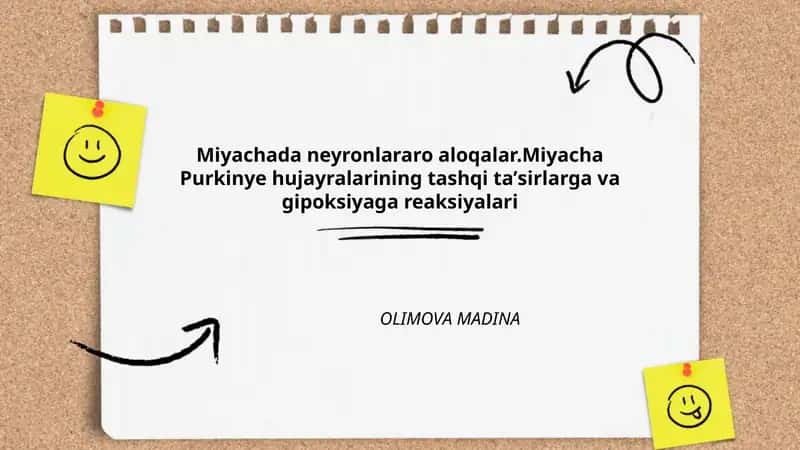 Miyachada neyronlararo aloqalar.Miyacha Purkinye hujayralarining tashqi taʼsirlarga va gipoksiyaga reaksiyalari