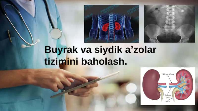 Chaqaloqlarda buyrak va siydik ajratish aʼzolari tizimini anatomo- fiziologik xususiyatlari va uning kasalliklari