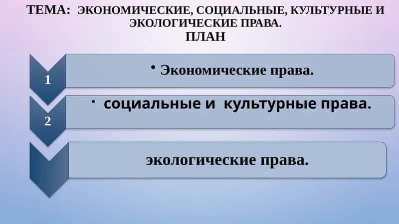 Экономические, социальные, культурные и экологические права