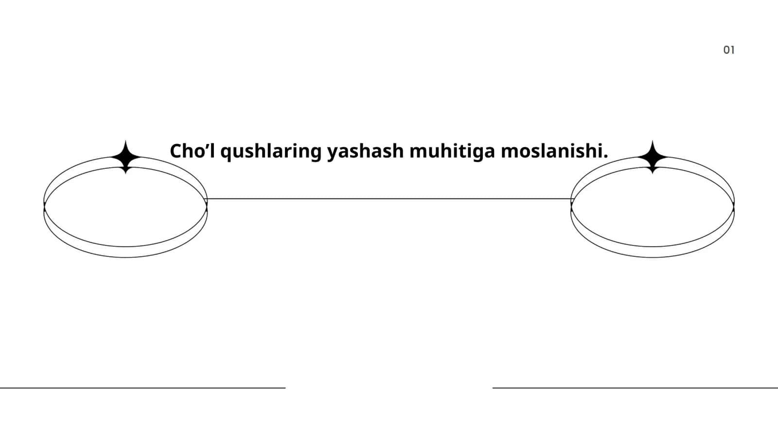 Cho'l qushlarning yashash muhiti