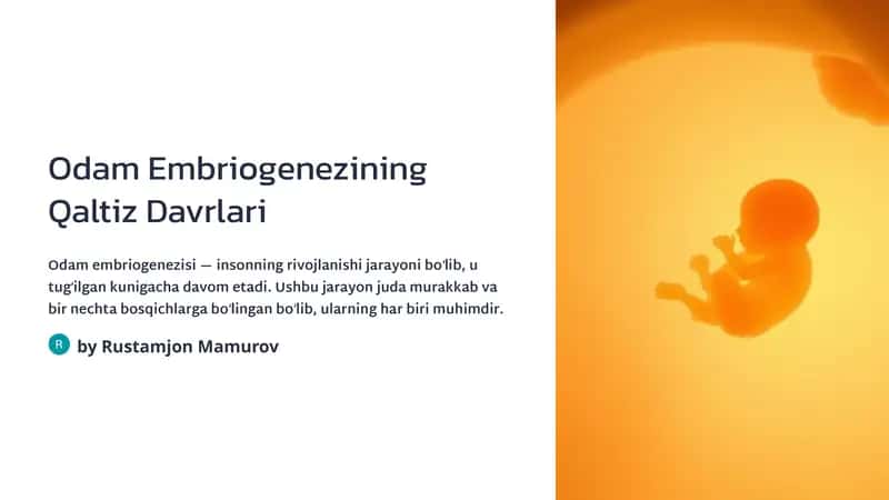 Odamlar embriologiyasi