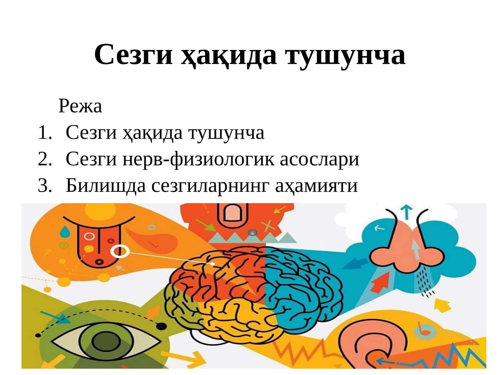 Сезги ҳақида тушунча
