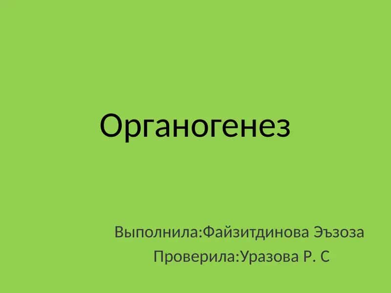 Органогенез