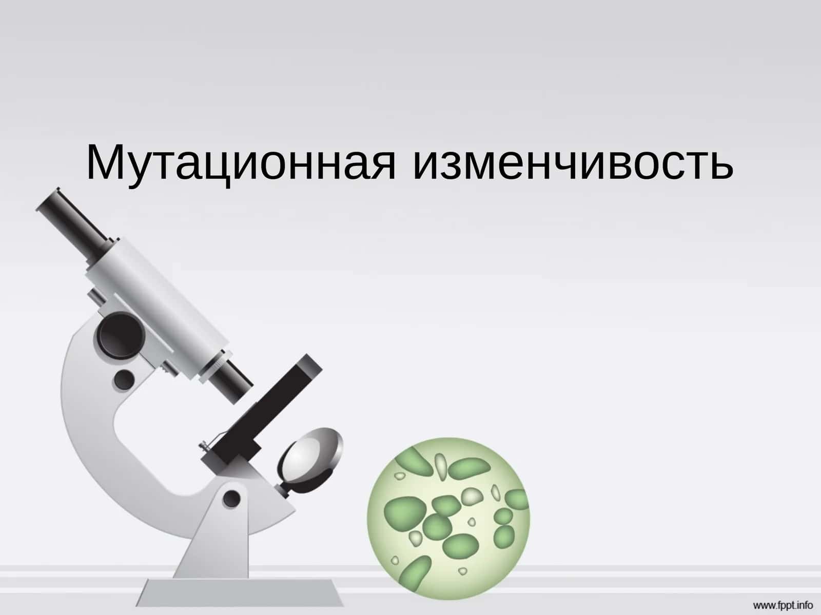 Мутационная изменчивость