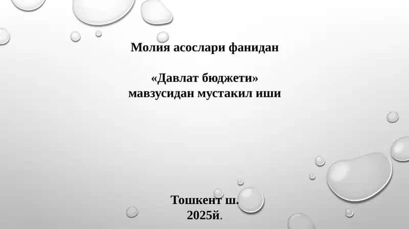 Davlat budjeti mavzusida taqdimot