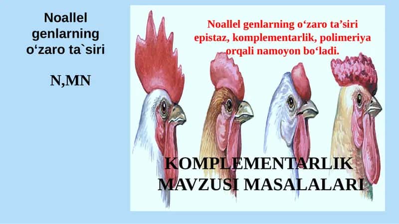 Komplementarlik mavzusi masalalari
