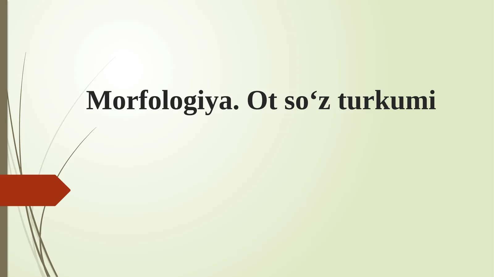 Morfologiya. Ot so‘z turkumi
