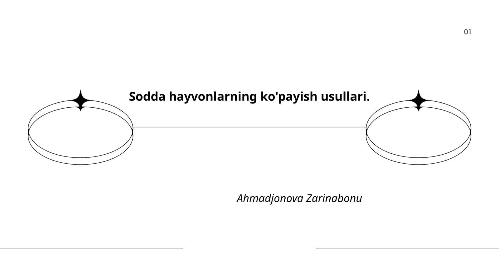 Sodda hayvonlarning ko'payish usullari