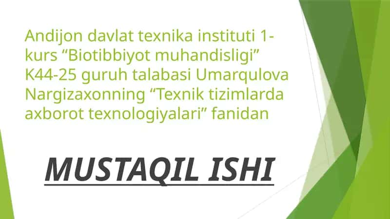Microsoft Publisher yordamida nashrlar yaratish