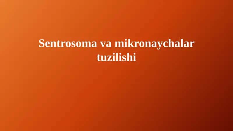 Sentrosoma va Mikronaychalar Tuzilishi
