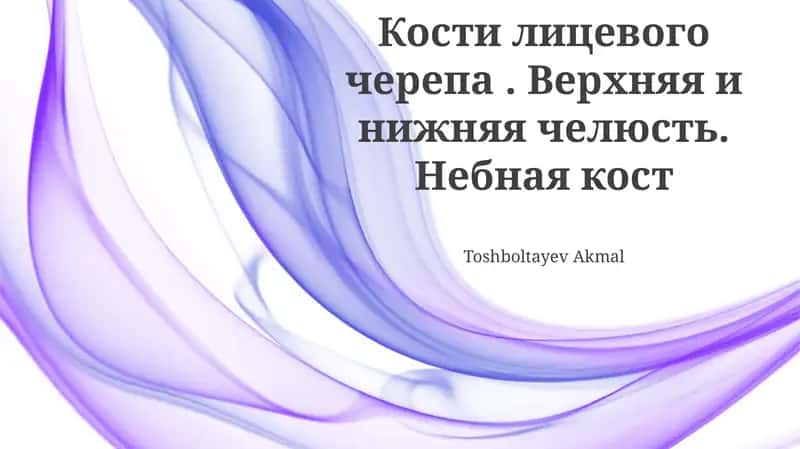 Нижняя челюсть (Mandible)