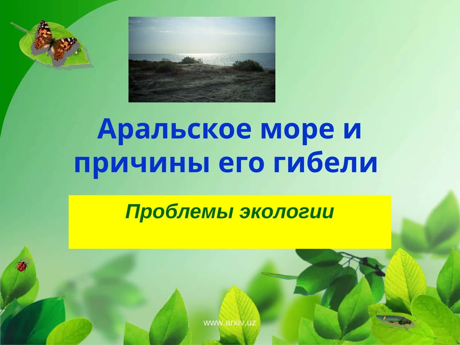 Аральское море и причины его гибели