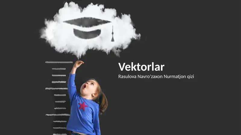 Vektorlar