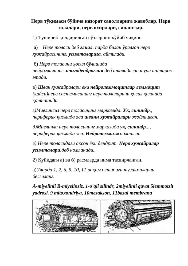 Нерв тўқимаси бўйича назорат саволларига жавоблар