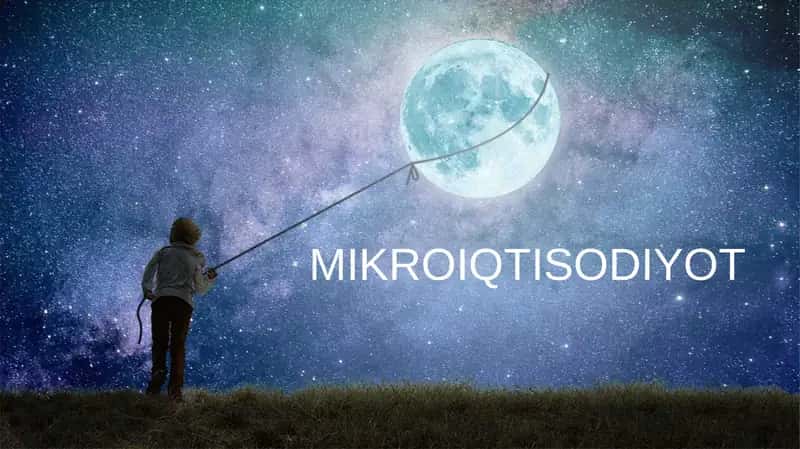 MIKROIQTISODIYOT