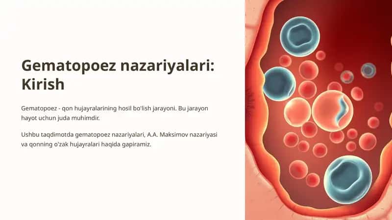 Gematopoez nazariyalari.