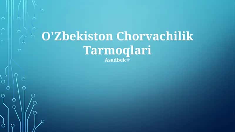 O'Zbekiston Chorvachilik Tarmoqlari