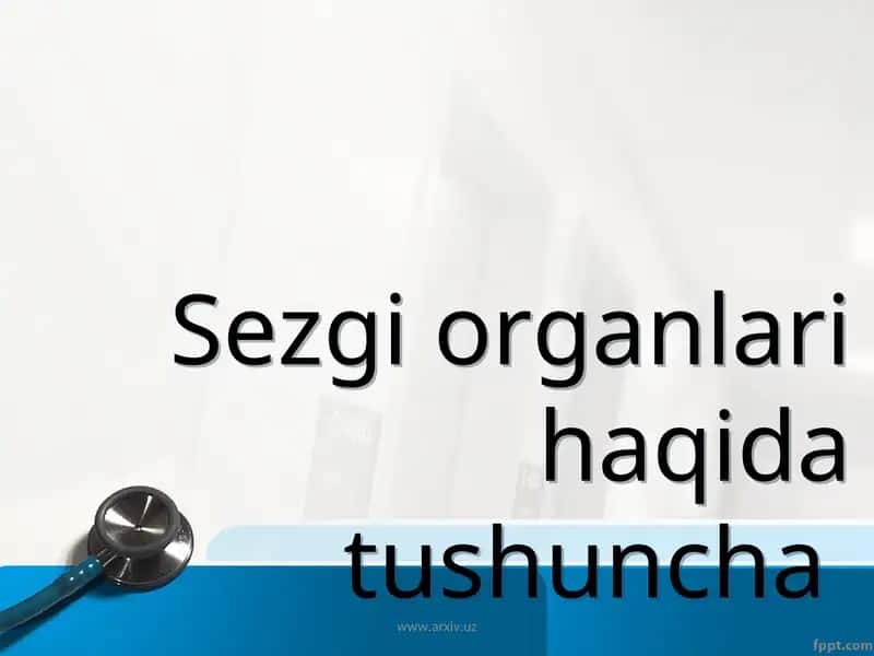 Sezgi organlari haqida tushuncha