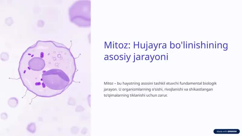 Mitozning ahamiyati