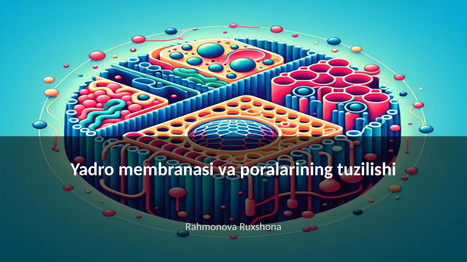 Yadro membranasi va poralarining tuzilishi