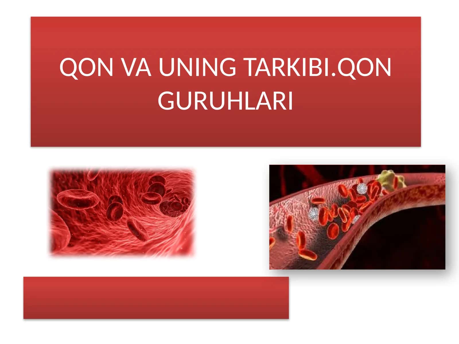 QON VA UNING TARKIBI.QON GURUHLARI