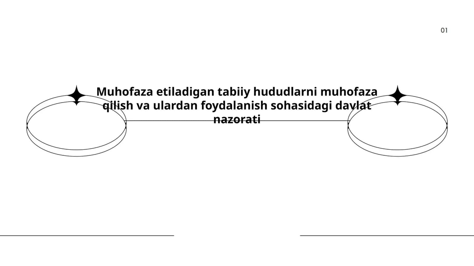 Muhofaza etiladigan tabiiy hududlarni muhofaza qilish va ulardan foydalanish sohasidagi davlat nazorati