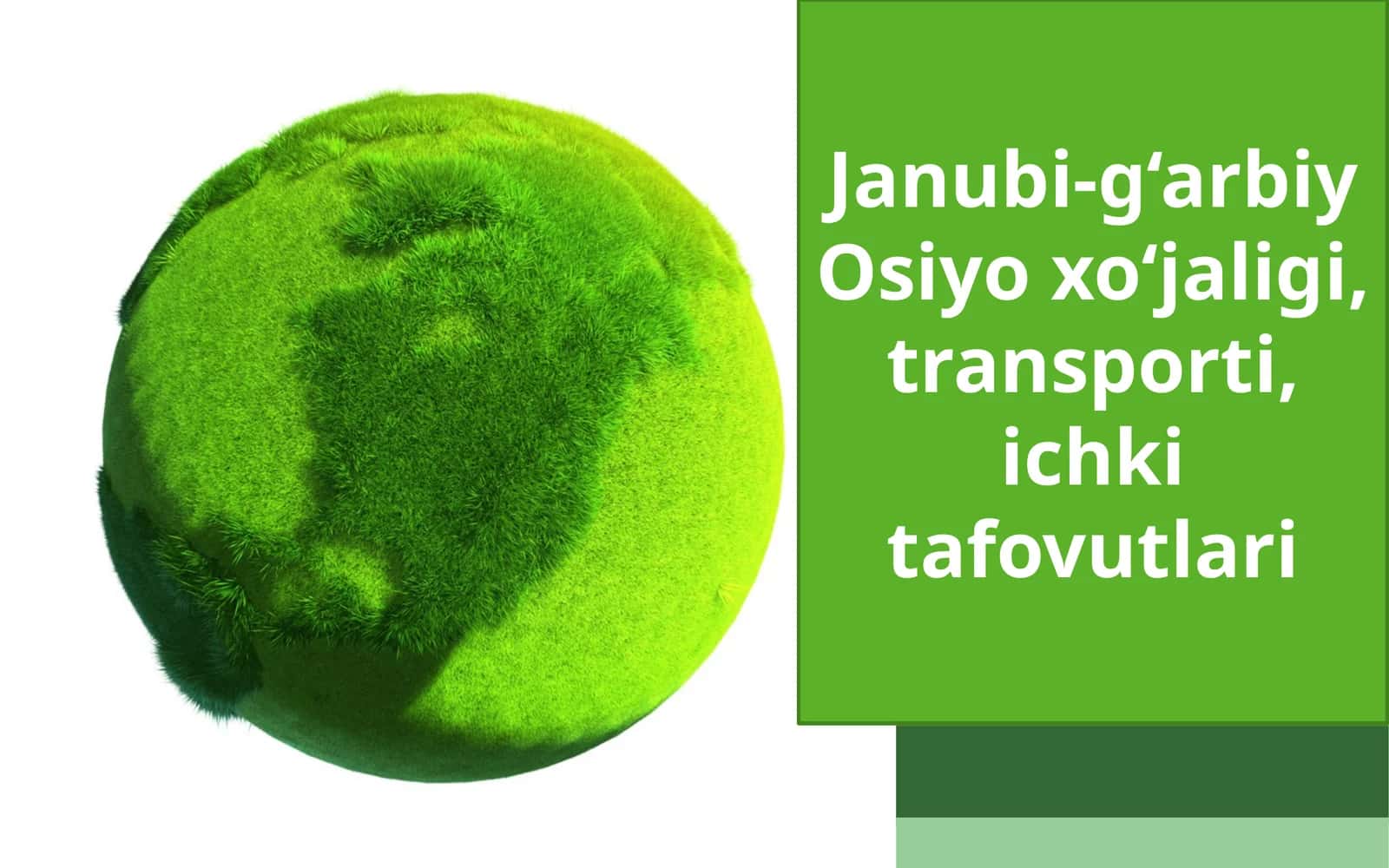 Janubi-g‘arbiy Osiyo xo‘jaligi, transporti, ichki tafovutlari