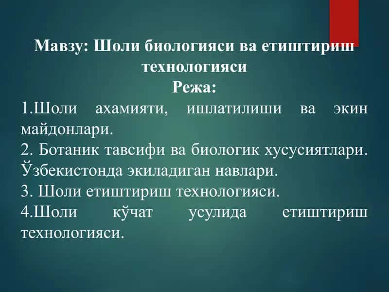 Шоли биологияси ва етиштириш технологияси