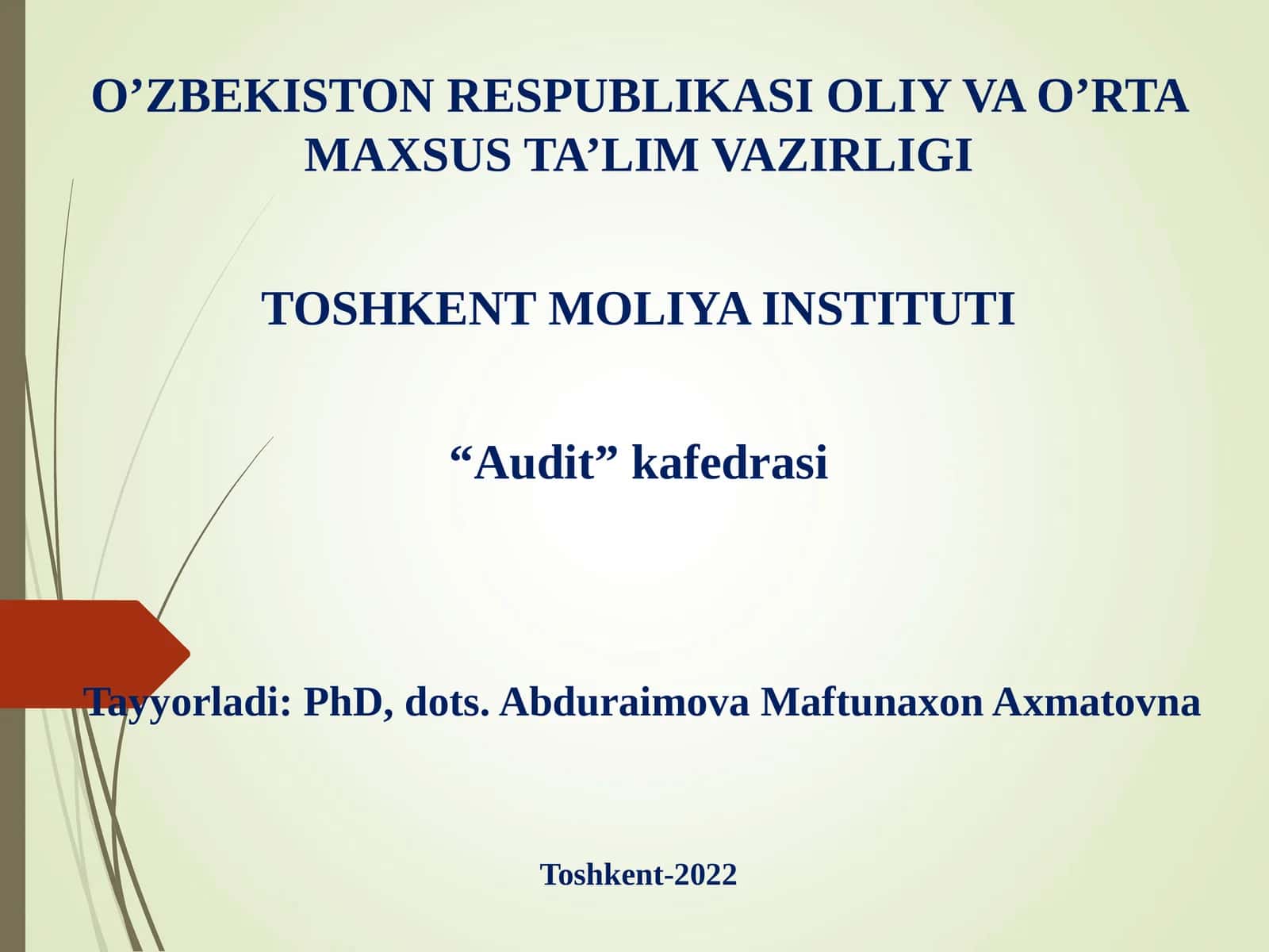 AUDITORLIK TEKSHIRUVINI REJALASHTIRISH