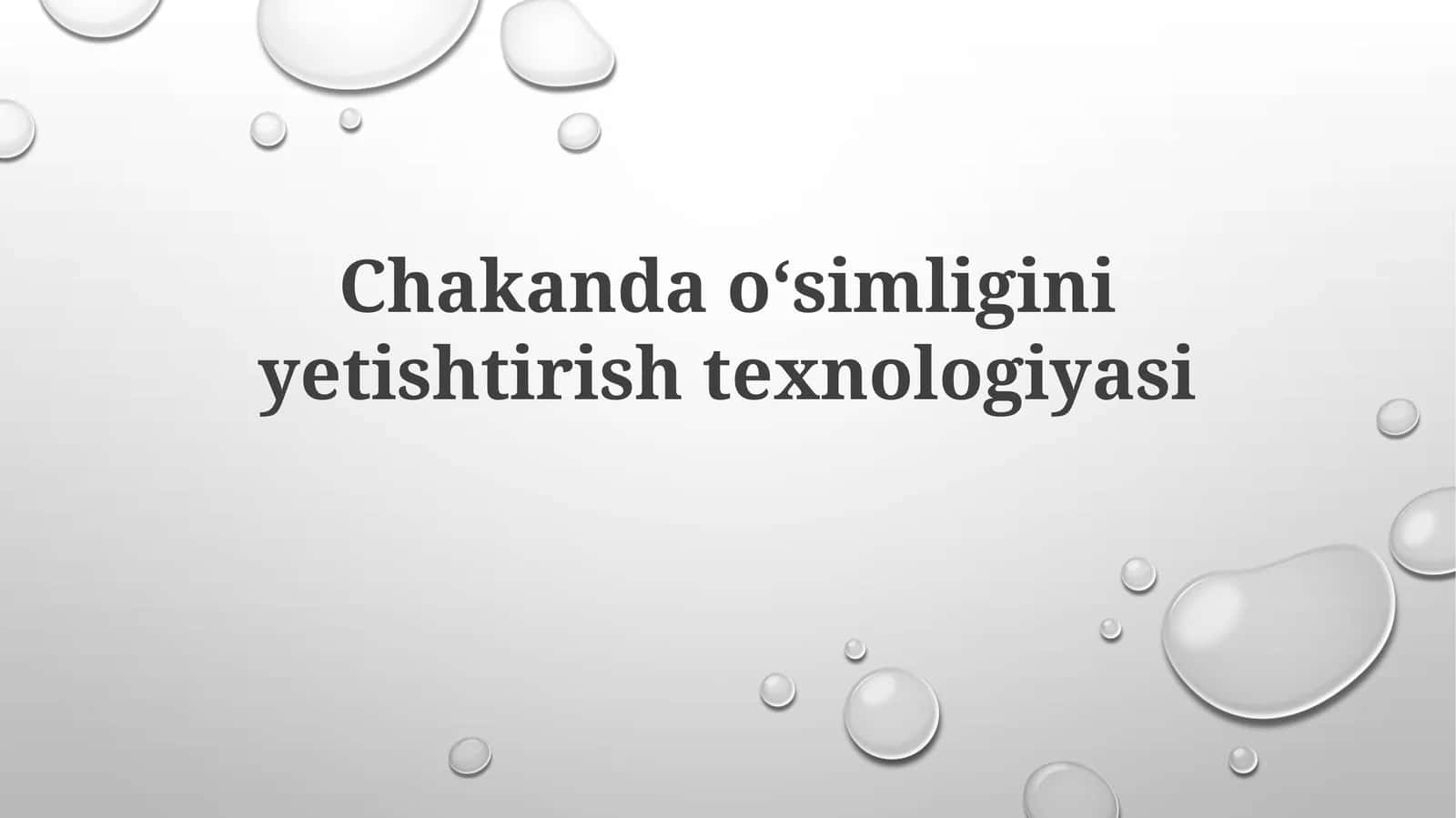 Chakandaoʻsimliginiyetishtirishtexnologiyasi