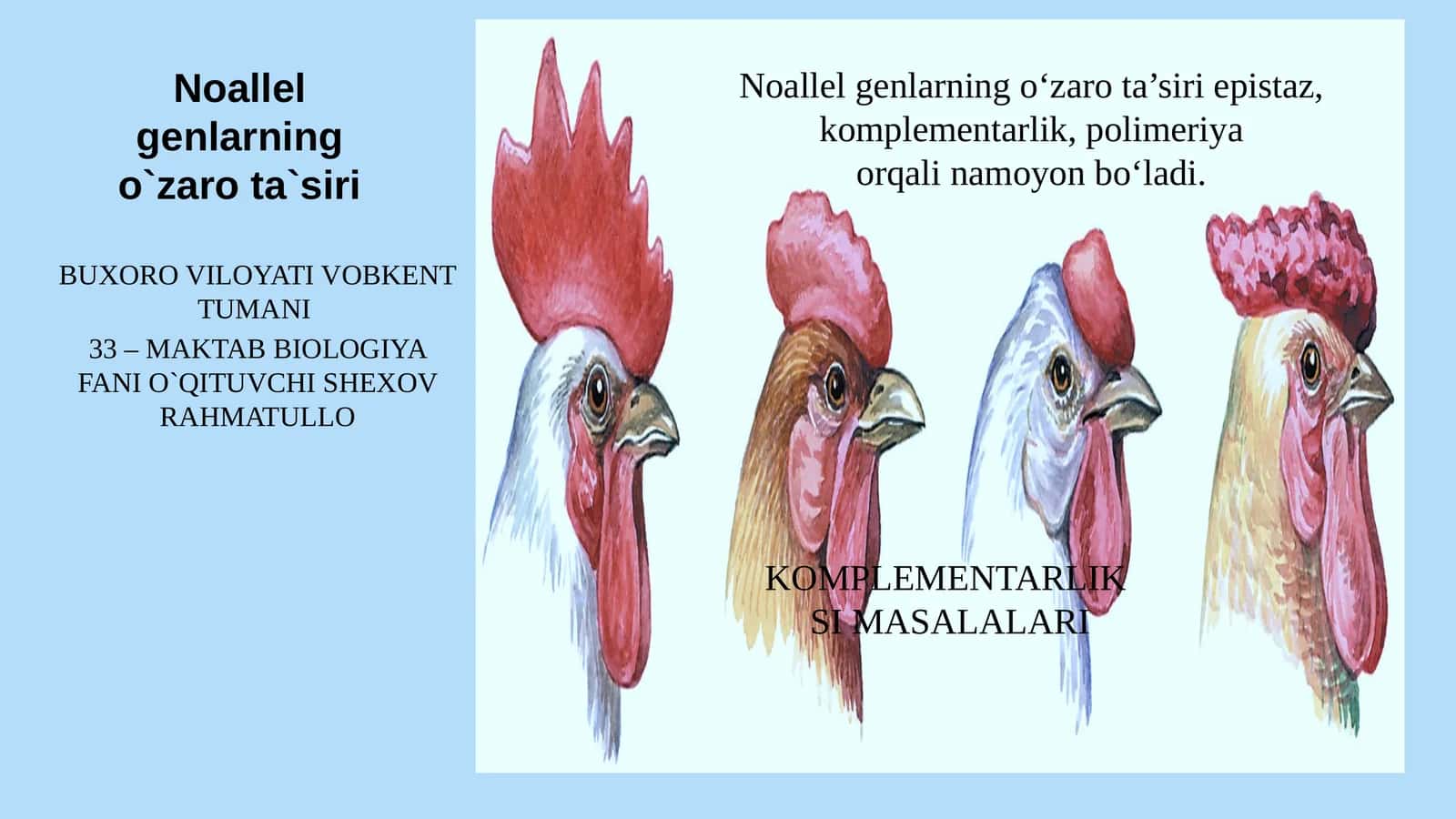 Noallel genlarning o‘zaro ta‘siri